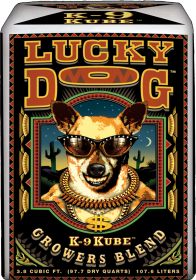 Lucky Dog K9 Kube